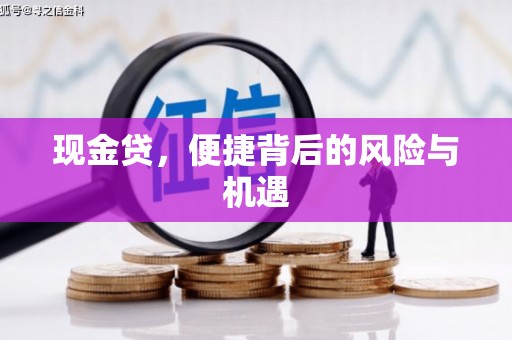 泗水现金贷，便捷背后的风险与机遇