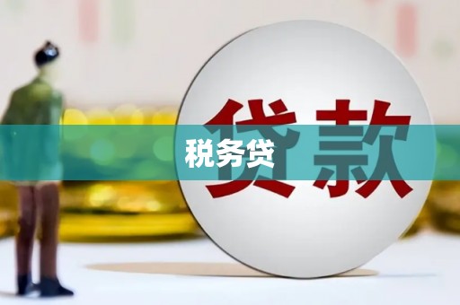 泗水税务贷
