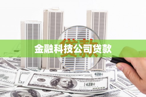 泗水金融科技公司贷款