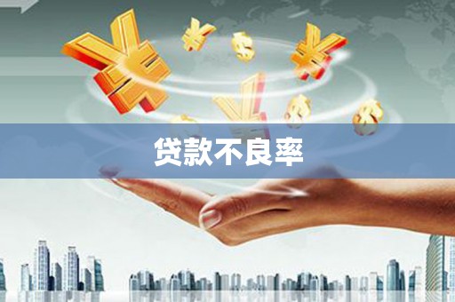 泗水贷款不良率