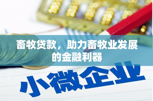 泗水畜牧贷款，助力畜牧业发展的金融利器