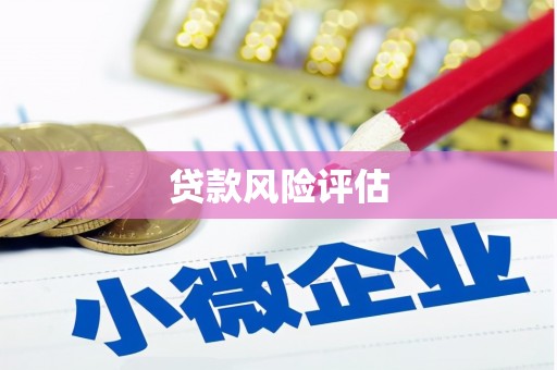 泗水贷款风险评估