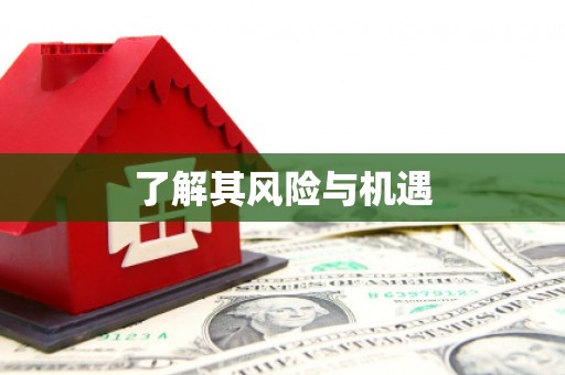 泗水了解其风险与机遇
