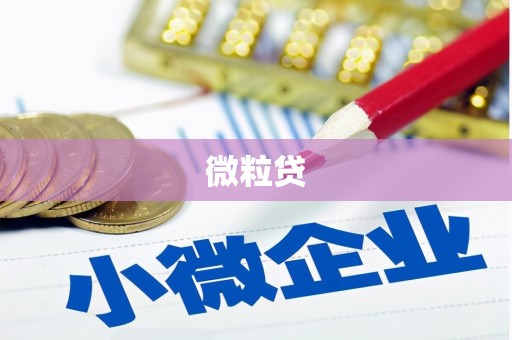 泗水微粒贷