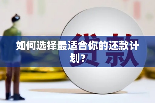 泗水如何选择最适合你的还款计划？