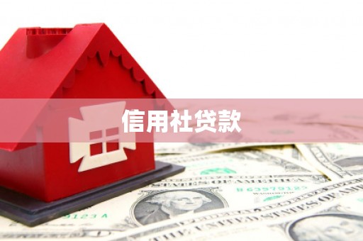 泗水信用社贷款