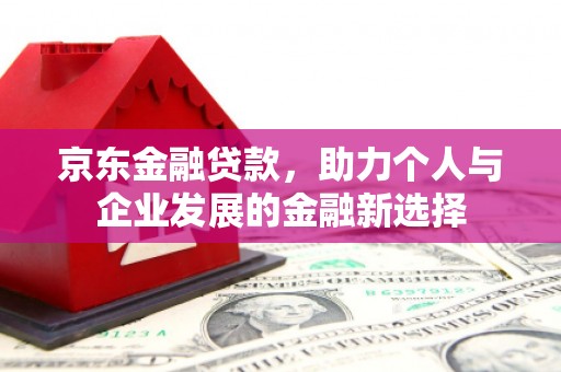 泗水京东金融贷款，助力个人与企业发展的金融新选择
