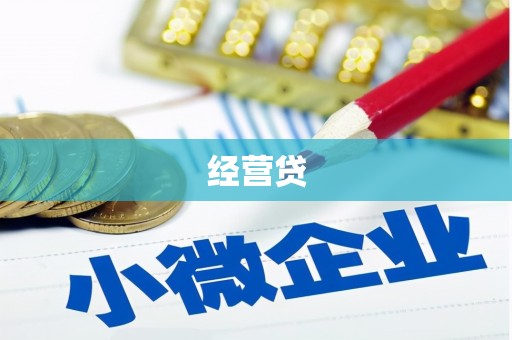 泗水经营贷