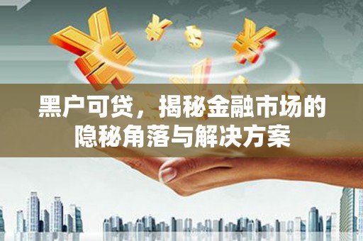 泗水黑户可贷，揭秘金融市场的隐秘角落与解决方案