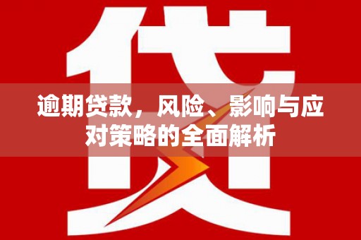 泗水逾期贷款，风险、影响与应对策略的全面解析