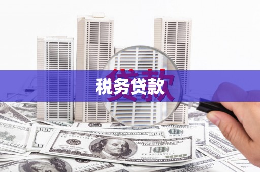 泗水税务贷款