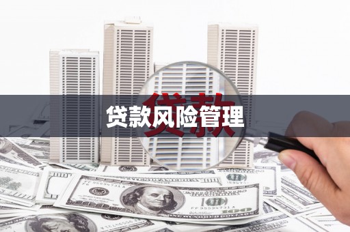 泗水贷款风险管理