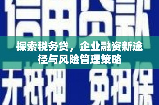 泗水探索税务贷，企业融资新途径与风险管理策略