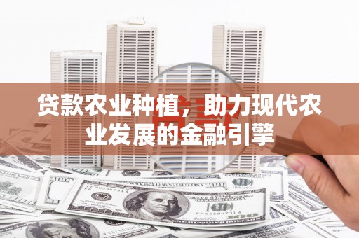 泗水贷款农业种植，助力现代农业发展的金融引擎