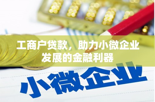 泗水工商户贷款，助力小微企业发展的金融利器
