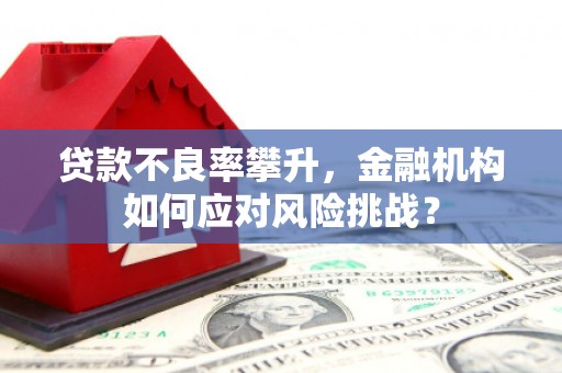 泗水贷款不良率攀升，金融机构如何应对风险挑战？