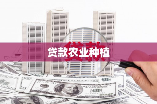 泗水贷款农业种植
