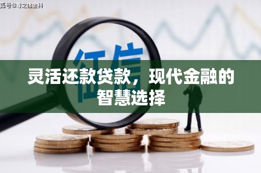 泗水灵活还款贷款，现代金融的智慧选择
