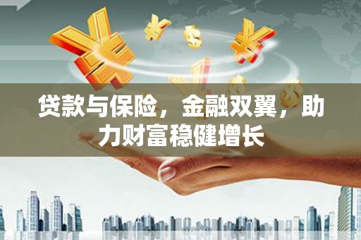 泗水贷款与保险，金融双翼，助力财富稳健增长