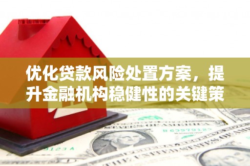 泗水优化贷款风险处置方案，提升金融机构稳健性的关键策略