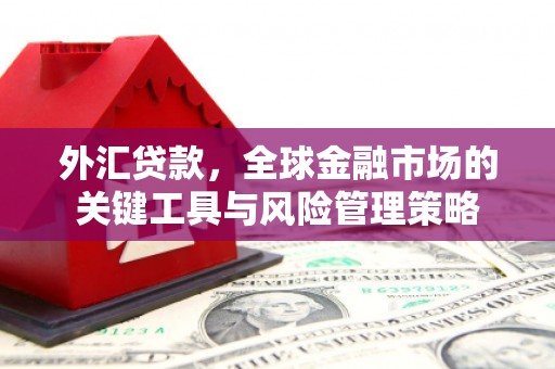 泗水外汇贷款，全球金融市场的关键工具与风险管理策略