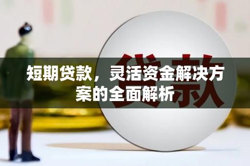 泗水短期贷款，灵活资金解决方案的全面解析