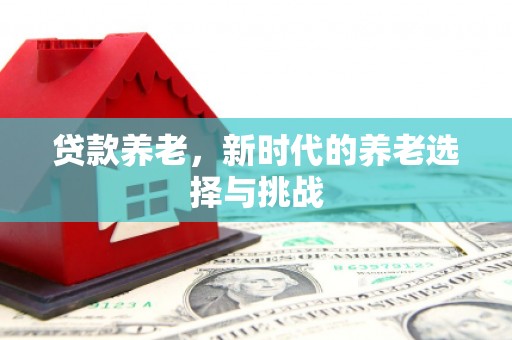 泗水贷款养老，新时代的养老选择与挑战