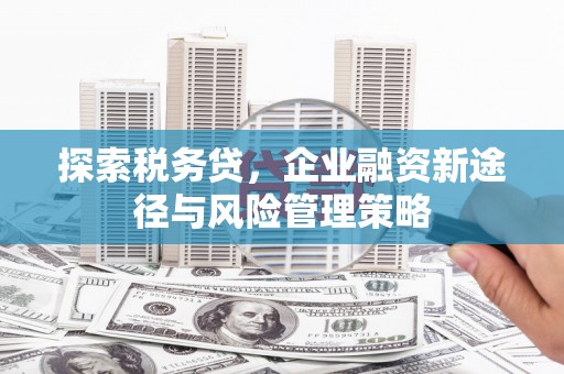 泗水探索税务贷，企业融资新途径与风险管理策略
