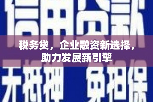 泗水税务贷，企业融资新选择，助力发展新引擎