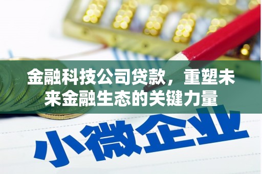 泗水金融科技公司贷款，重塑未来金融生态的关键力量