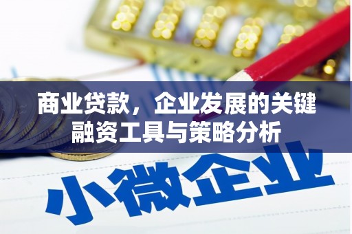 泗水商业贷款，企业发展的关键融资工具与策略分析