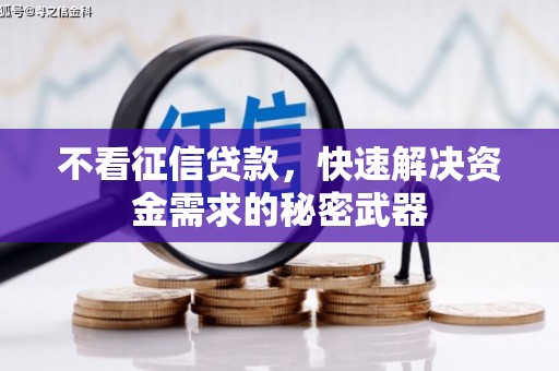 泗水不看征信贷款，快速解决资金需求的秘密武器
