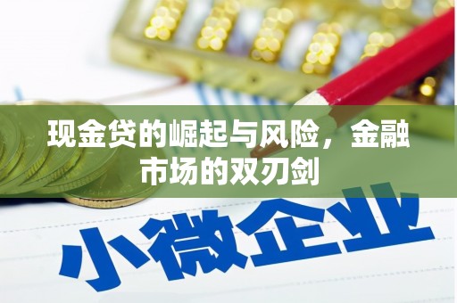 泗水现金贷的崛起与风险，金融市场的双刃剑