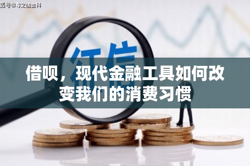 泗水借呗，现代金融工具如何改变我们的消费习惯