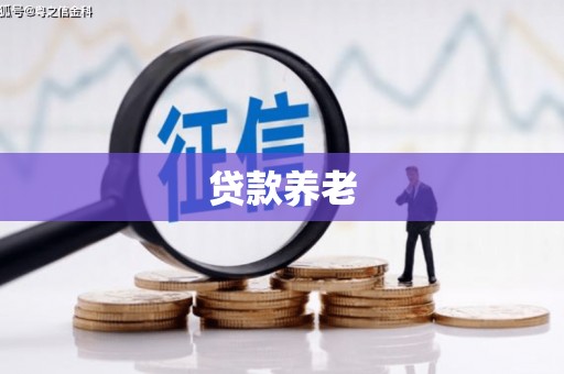 泗水贷款养老