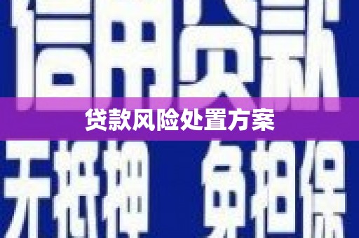 泗水贷款风险处置方案