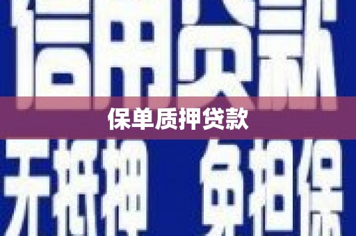 泗水保单质押贷款