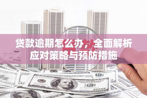 泗水贷款逾期怎么办，全面解析应对策略与预防措施