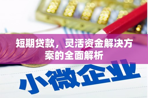 泗水短期贷款，灵活资金解决方案的全面解析
