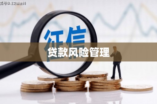 泗水贷款风险管理