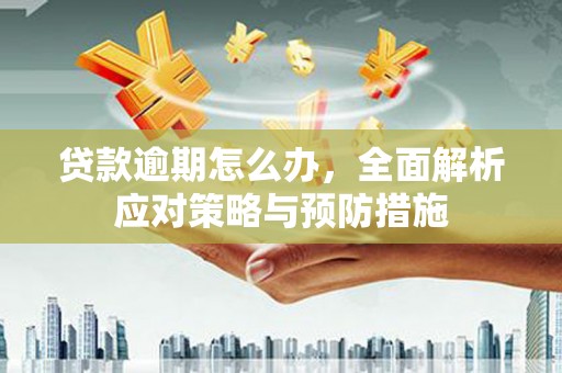 泗水贷款逾期怎么办，全面解析应对策略与预防措施