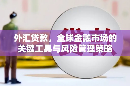 泗水外汇贷款，全球金融市场的关键工具与风险管理策略