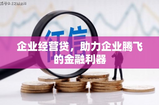泗水企业经营贷，助力企业腾飞的金融利器