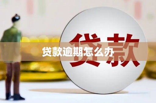 泗水贷款逾期怎么办