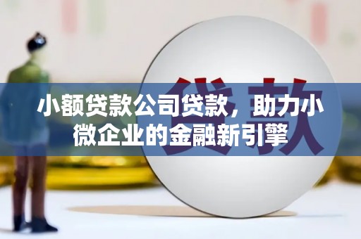 泗水小额贷款公司贷款，助力小微企业的金融新引擎