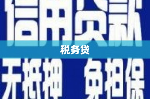 泗水税务贷