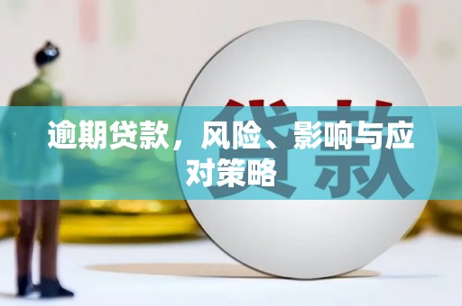 泗水逾期贷款，风险、影响与应对策略