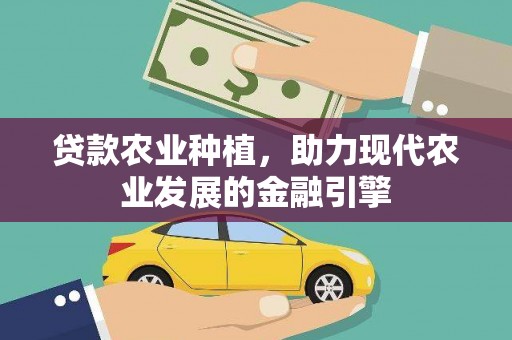 泗水贷款农业种植，助力现代农业发展的金融引擎