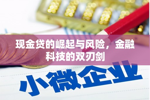 泗水现金贷的崛起与风险，金融科技的双刃剑