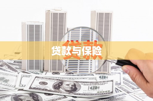 泗水贷款与保险